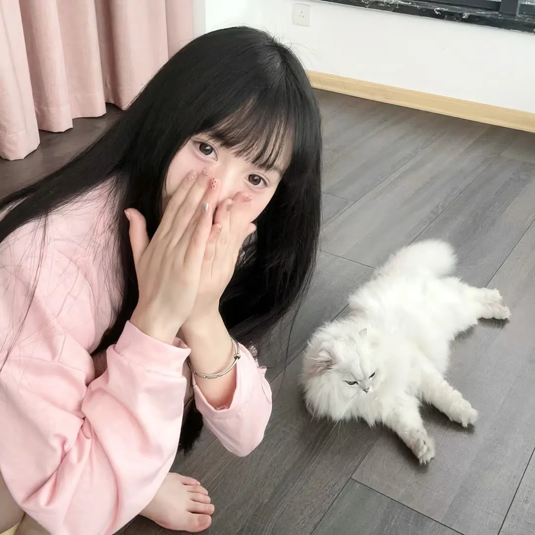 无耻之徒(美版) 第五季